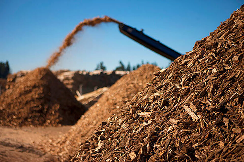 Expander-Energy-and-Vanderwell-get-permit-to-build-Canadas-first-biomass-gas-to-liquids-plant